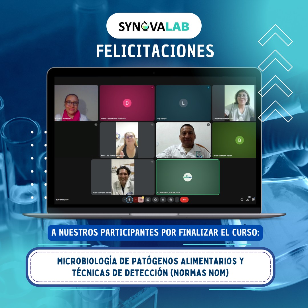 Alintec Food innovación
